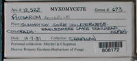 Image Associated With the Occurence